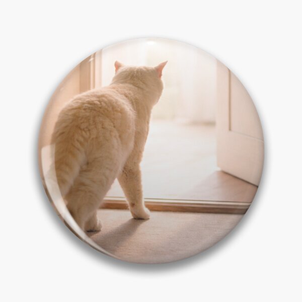 Item preview, Cream Cat Crossing a Sunlit Doorway – Calm Minimal Cat Art, Soft Light Interior Scene designed and sold by LovelyCatGalaxy.