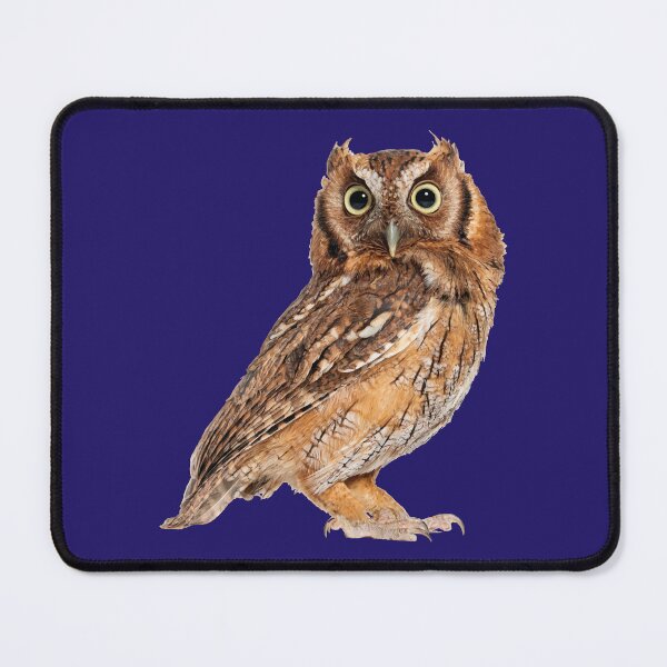 Item preview, Owl designed and sold by YoshiArtDesign.