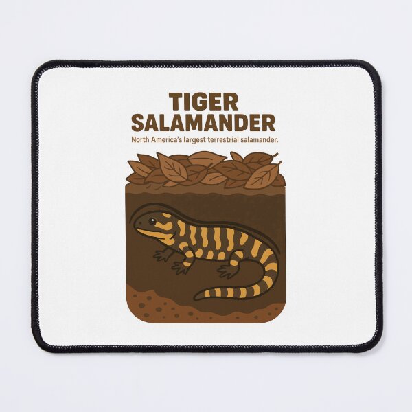 Item preview, Tiger Salamander Underground Forest Dweller designed and sold by WildlifeInc.
