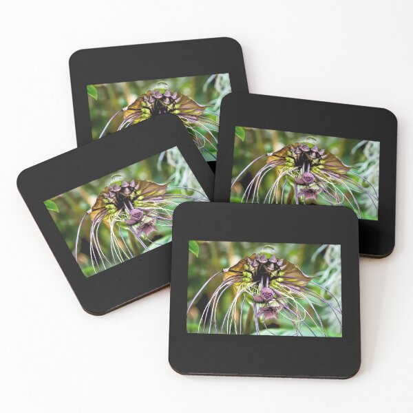 Item preview, Tacca chantrieri Bat Flower#6 designed and sold by Helios Be. Lavsh.
