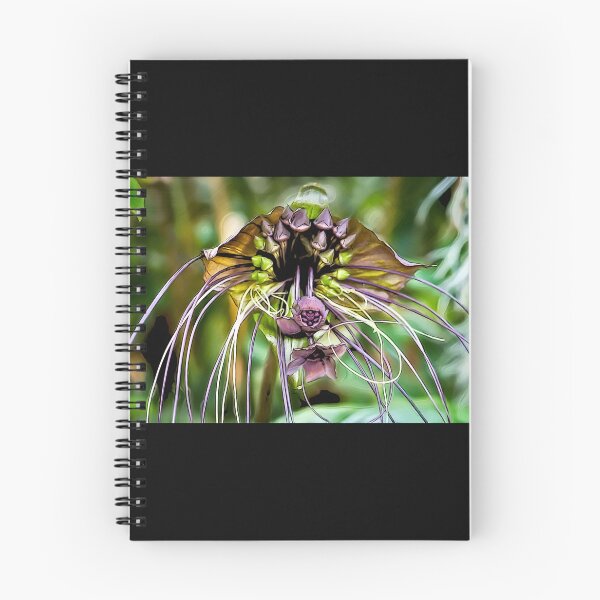 Item preview, Tacca chantrieri Bat Flower#6 designed and sold by Helios Be. Lavsh.