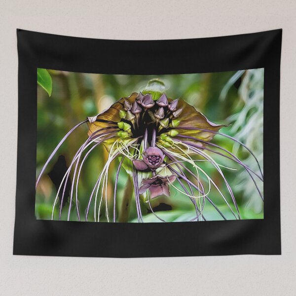 Item preview, Tacca chantrieri Bat Flower#6 designed and sold by Helios Be. Lavsh.