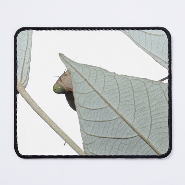 Item preview, Peekaboo  designed and sold by JacJaq.