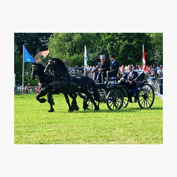 Artikelvorschau, Friesian Horses in Action entworfen und verkauft von ienemien.