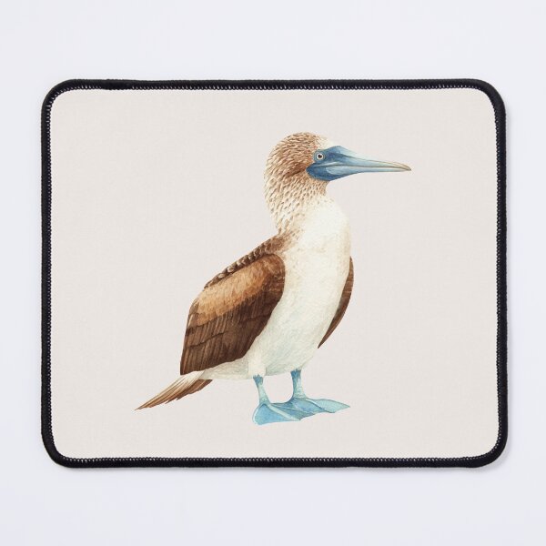 Item preview, Blue Footed Booby Bird designed and sold by Violet Peonies.
