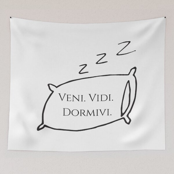 Item preview, Veni Vidi Dormivi Latin Quote Typography | Funny Home Decor Pillow designed and sold by photo-travel.