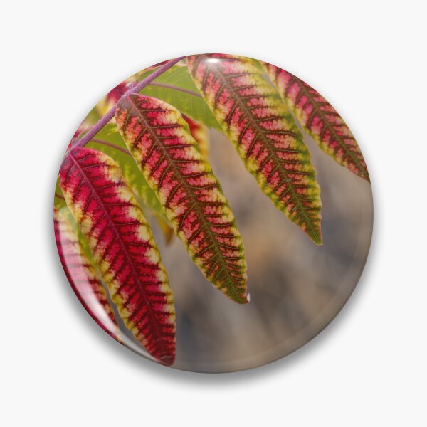 Item preview, Staghorn Sumac designed and sold by DawsonImages.