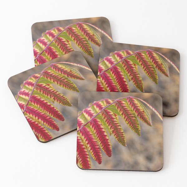 Item preview, Staghorn Sumac designed and sold by DawsonImages.