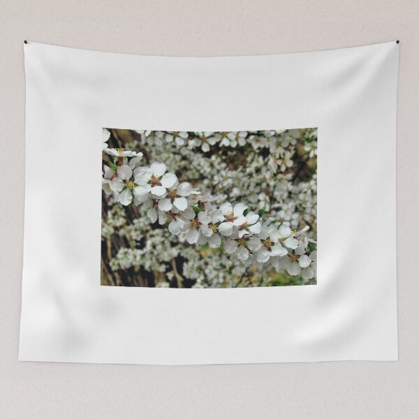 Item preview, Cherry Blossoms 1 - Pennsylvania designed and sold by jtrommer.