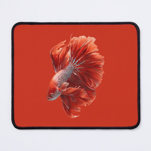 Item preview, Solid Red Veiltail Betta Siamese Fighting Fish Classic Red with Flowing Fins designed and sold by meganohm.