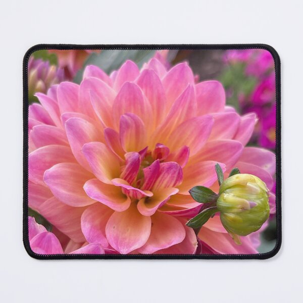 Item preview, Blooming beauty designed and sold by LainaCoopPhotos.