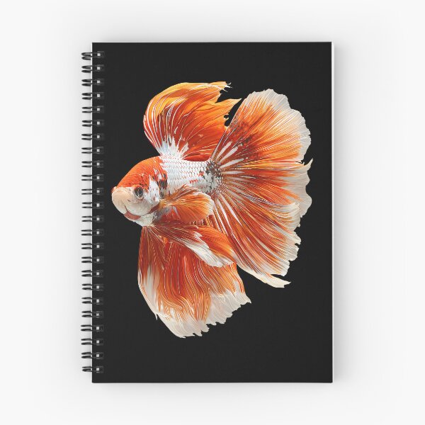 Item preview, Orange Koi Plakat Betta  Siamese Fighting Fish, Marbled Koi Halfmoon with White designed and sold by meganohm.