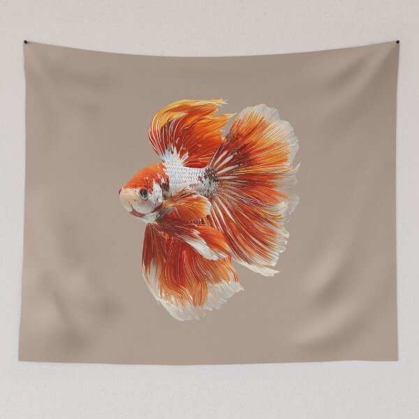 Item preview, Orange Koi Plakat Betta  Siamese Fighting Fish, Marbled Koi Halfmoon with White designed and sold by meganohm.