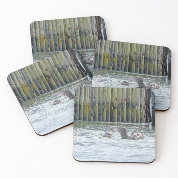 Item preview, Gulls fighting over crabbing bait designed and sold by lisavonbiela.