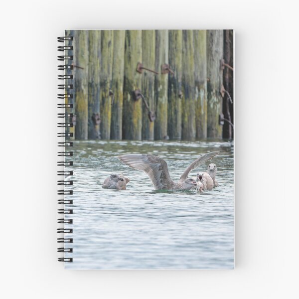 Item preview, Gulls fighting over crabbing bait designed and sold by lisavonbiela.
