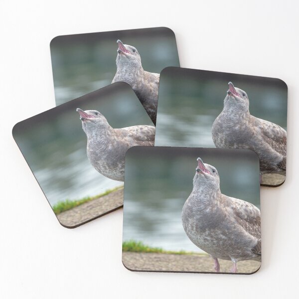 Item preview, Juvenile gull begging with throat detail visible designed and sold by lisavonbiela.