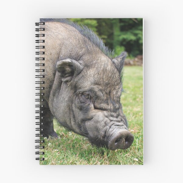 Item preview, Pot-bellied Pig in the French Countryside designed and sold by izzetsafer.