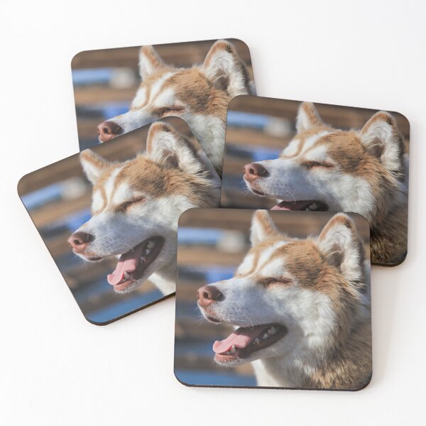 Item preview, Happy Dog in the Sun designed and sold by izzetsafer.