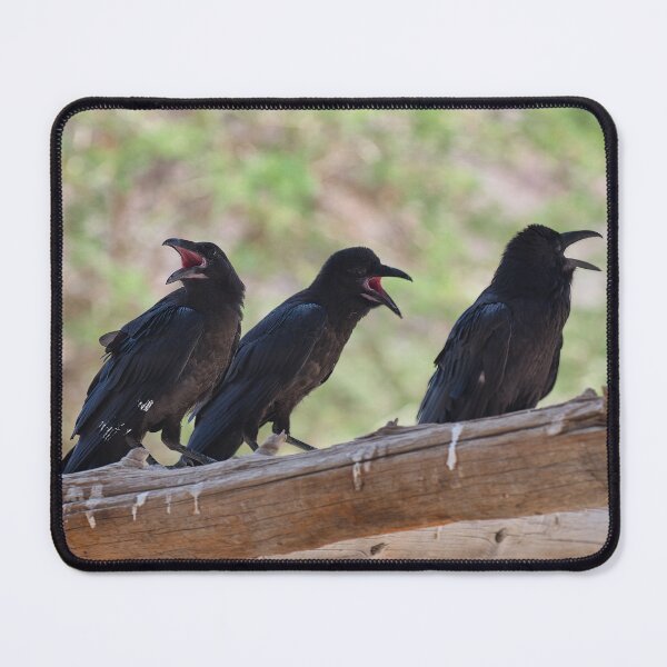Item preview, Ravens Calling designed and sold by izzetsafer.