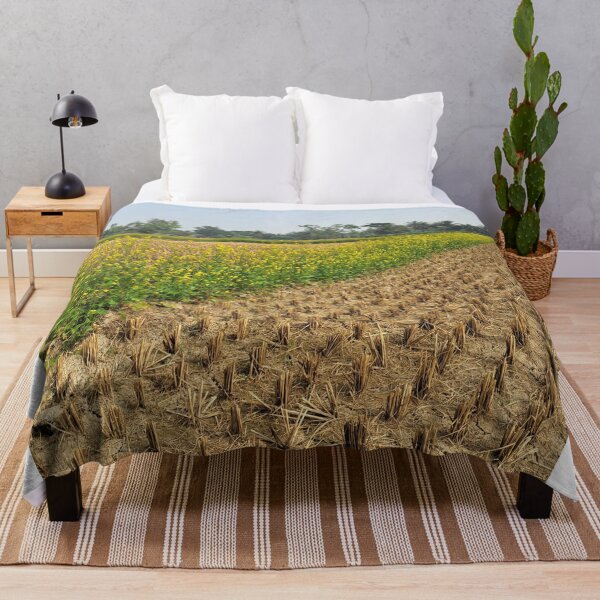 Item preview, Golden Mustard Flower Field and Green Paddy Farm – Original Photograph Countryside Landscape designed and sold by AwesomeDigiShop.