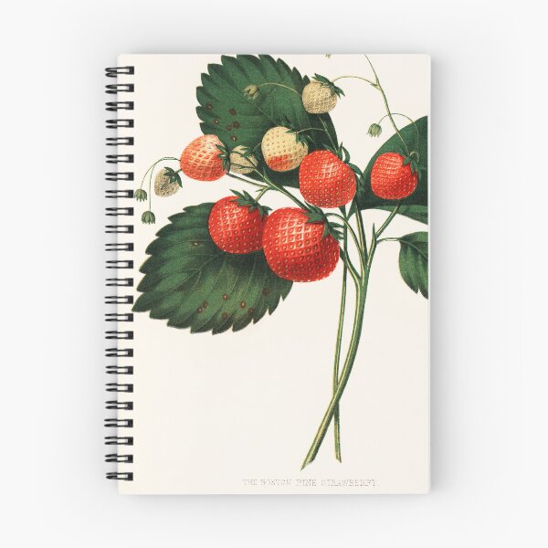 Item preview, Retro Kitchen - strawberry designed and sold by Inspirationmotivation.