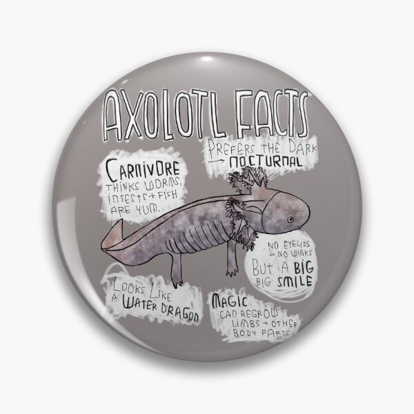 Artikelvorschau, Axolotl Facts, Axolotl Steckbrief entworfen und verkauft von badlydrawnbabe.