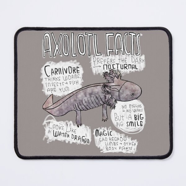 Item preview, Axolotl Facts designed and sold by badlydrawnbabe.