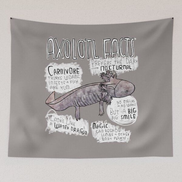 Item preview, Axolotl Facts designed and sold by badlydrawnbabe.