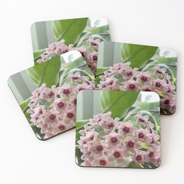 Item preview, Elegant Hoya Carnosa Botanical Illustration designed and sold by evie026.