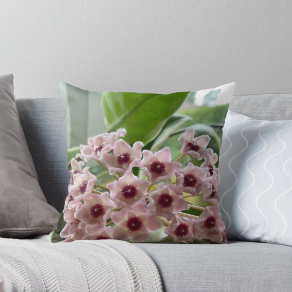 Item preview, Elegant Hoya Carnosa Botanical Illustration designed and sold by evie026.