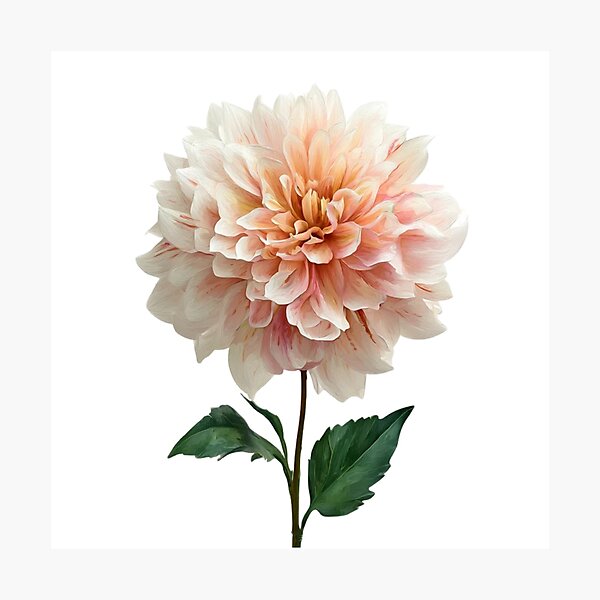 Item preview, Blush Peach Dahlia Bloom designed and sold by PaperieJennifer.