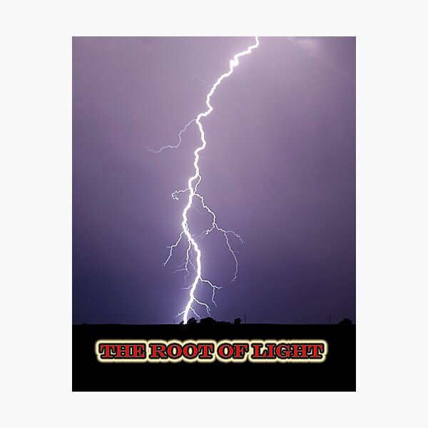 Artikelvorschau, The ROOT OF LIGHT entworfen und verkauft von Dennis Jones - CameraView.