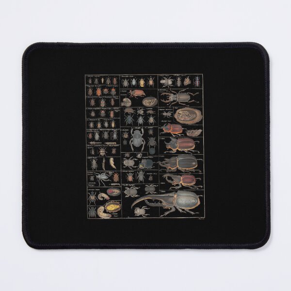 Item preview, Insects Species Collection Vintage Chart designed and sold by gincasfikret4.