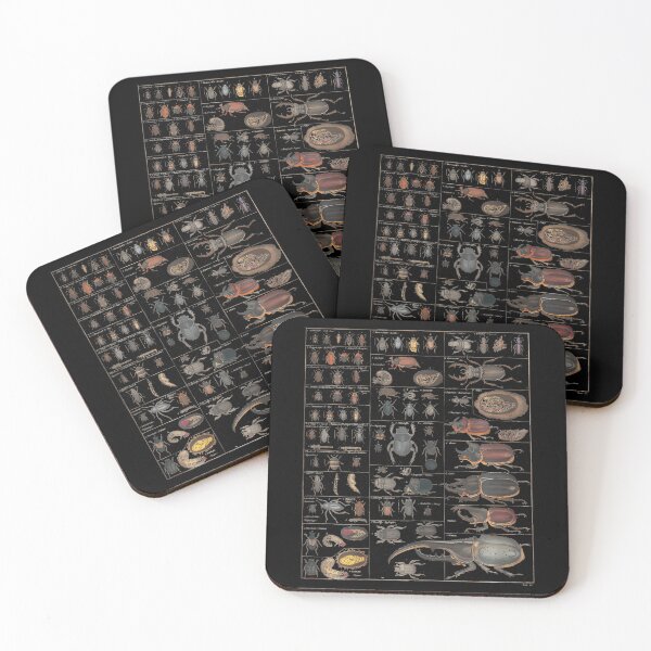 Item preview, Insects Species Collection Vintage Chart designed and sold by gincasfikret4.
