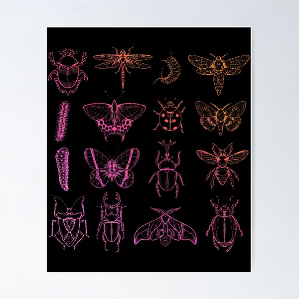 Item preview, Insect Collector Entomology designed and sold by gincasfikret4.
