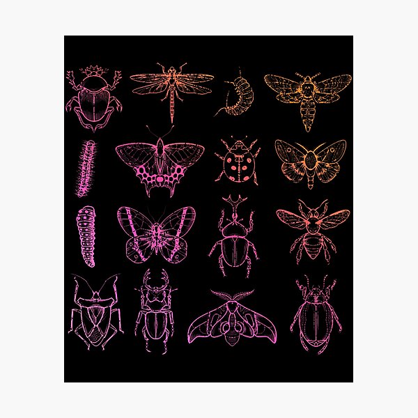 Item preview, Insect Collector Entomology designed and sold by gincasfikret4.