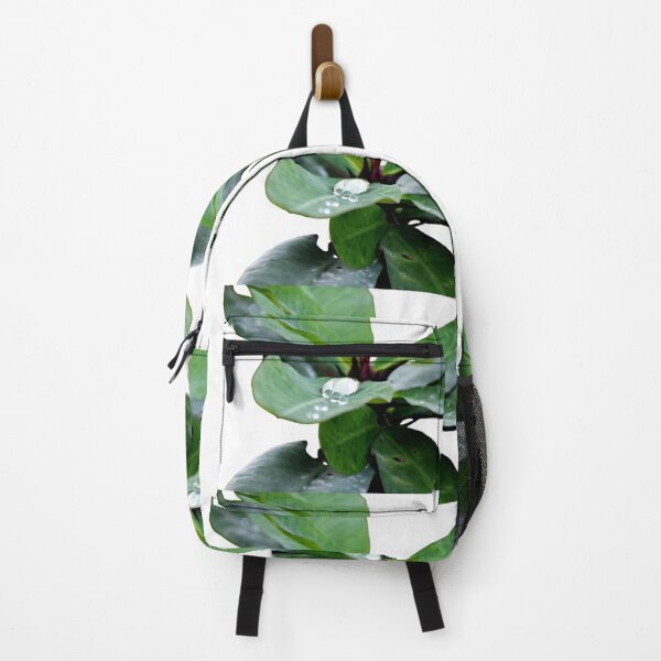 Item preview, A thorny plant with fresh green leaf and a due drop on it designed and sold by Rav33822.