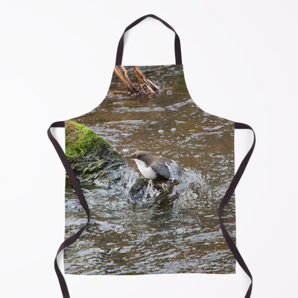 Item preview, Up with a catch. White-throated dipper designed and sold by Jouko Lehto Photography.