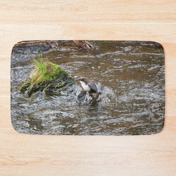 Item preview, Up with a catch. White-throated dipper designed and sold by Jouko Lehto Photography.