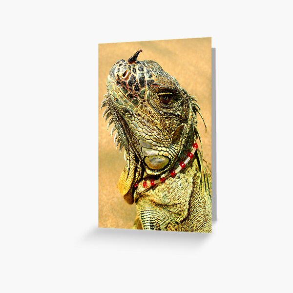 Item preview, Fancy Iguana designed and sold by MaluC.