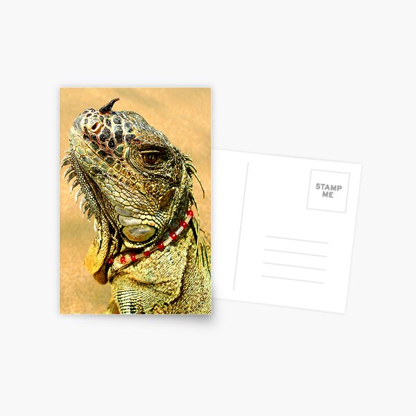 Item preview, Fancy Iguana designed and sold by MaluC.