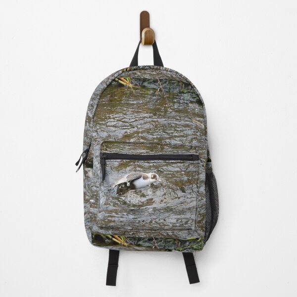 Item preview, Covered. White-throated dipper designed and sold by Jouko Lehto Photography.