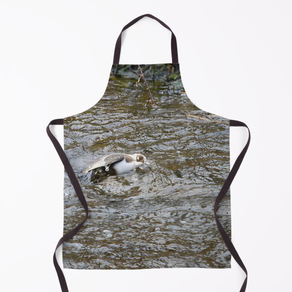 Item preview, Covered. White-throated dipper designed and sold by Jouko Lehto Photography.