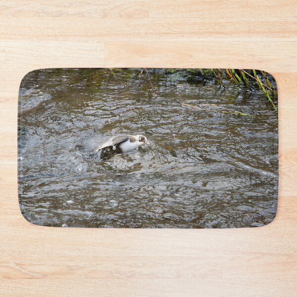 Item preview, Covered. White-throated dipper designed and sold by Jouko Lehto Photography.