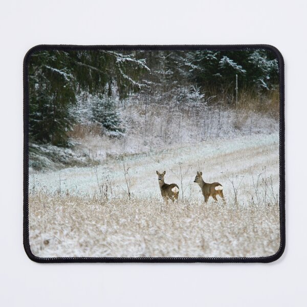 Item preview, The frozen fields. Roe deer designed and sold by Jouko Lehto Photography.