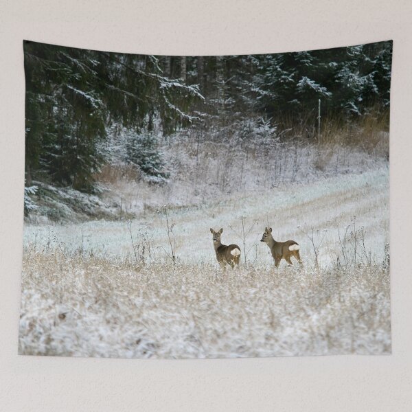 Item preview, The frozen fields. Roe deer designed and sold by Jouko Lehto Photography.