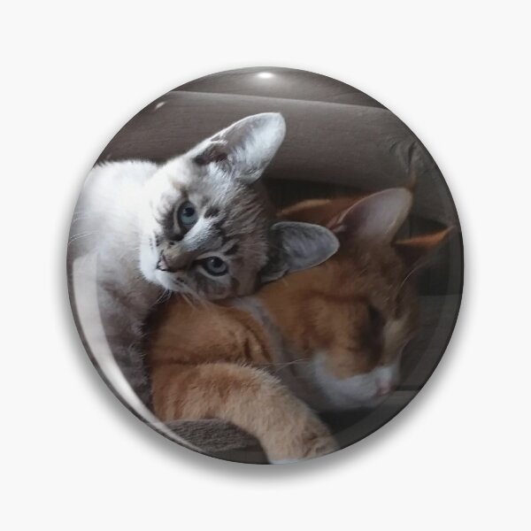 Item preview, ​Feline Friendship designed and sold by Bre1973.