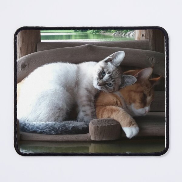 Item preview, Feline Friendship designed and sold by Bre1973.