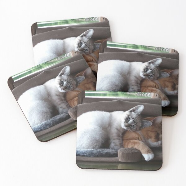 Item preview, ​Feline Friendship designed and sold by Bre1973.