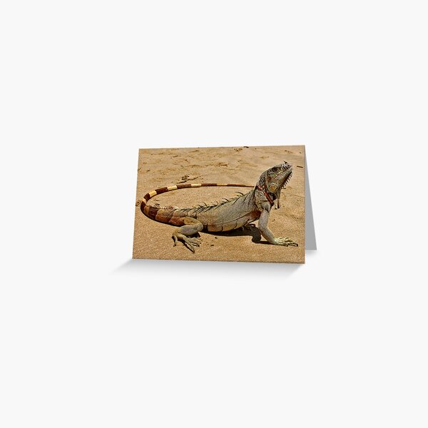 Item preview, Fancy Iguana 2 designed and sold by MaluC.